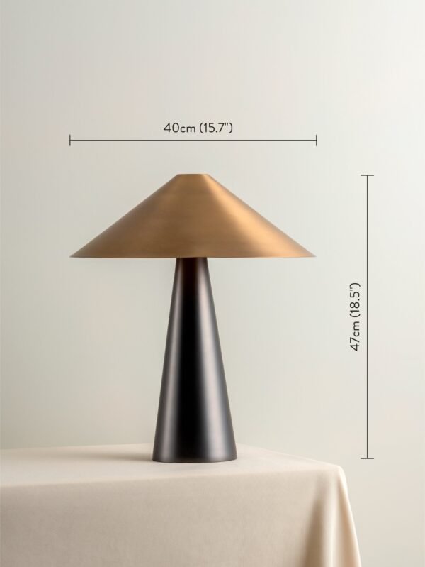 Orta - 1 light antique silver and burnished brass cone table lamp - Image 6